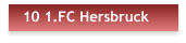 10 1.FC Hersbruck