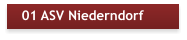 01 ASV Niederndorf