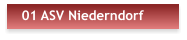 01 ASV Niederndorf